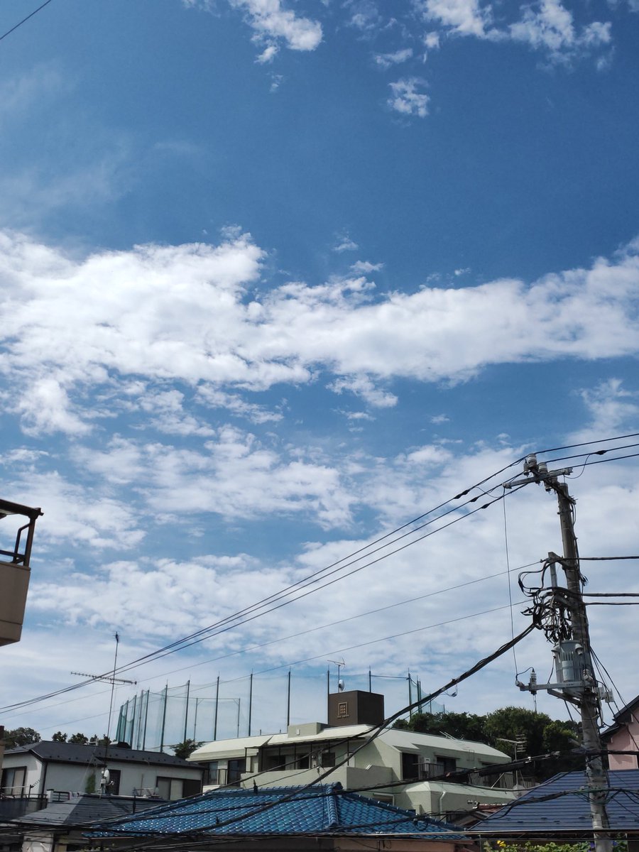 HAJU31's tweet photo. おはようございます😀
めっちゃ天気良いのに在宅ワーク…。 https://t.co/lvVWEfbiBD
