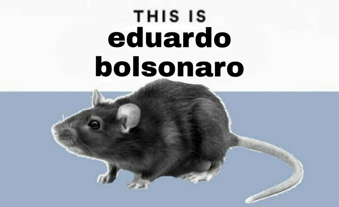Eduardo Bolsonaro On Twitter Trump 2020