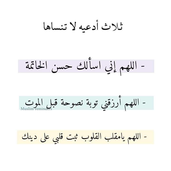mero0ly's tweet photo. اترك شيئا تؤجر علية
#غرد_بذكر_الله #عشرة_ذي_الحجة https://t.co/RAYzRBAb1L