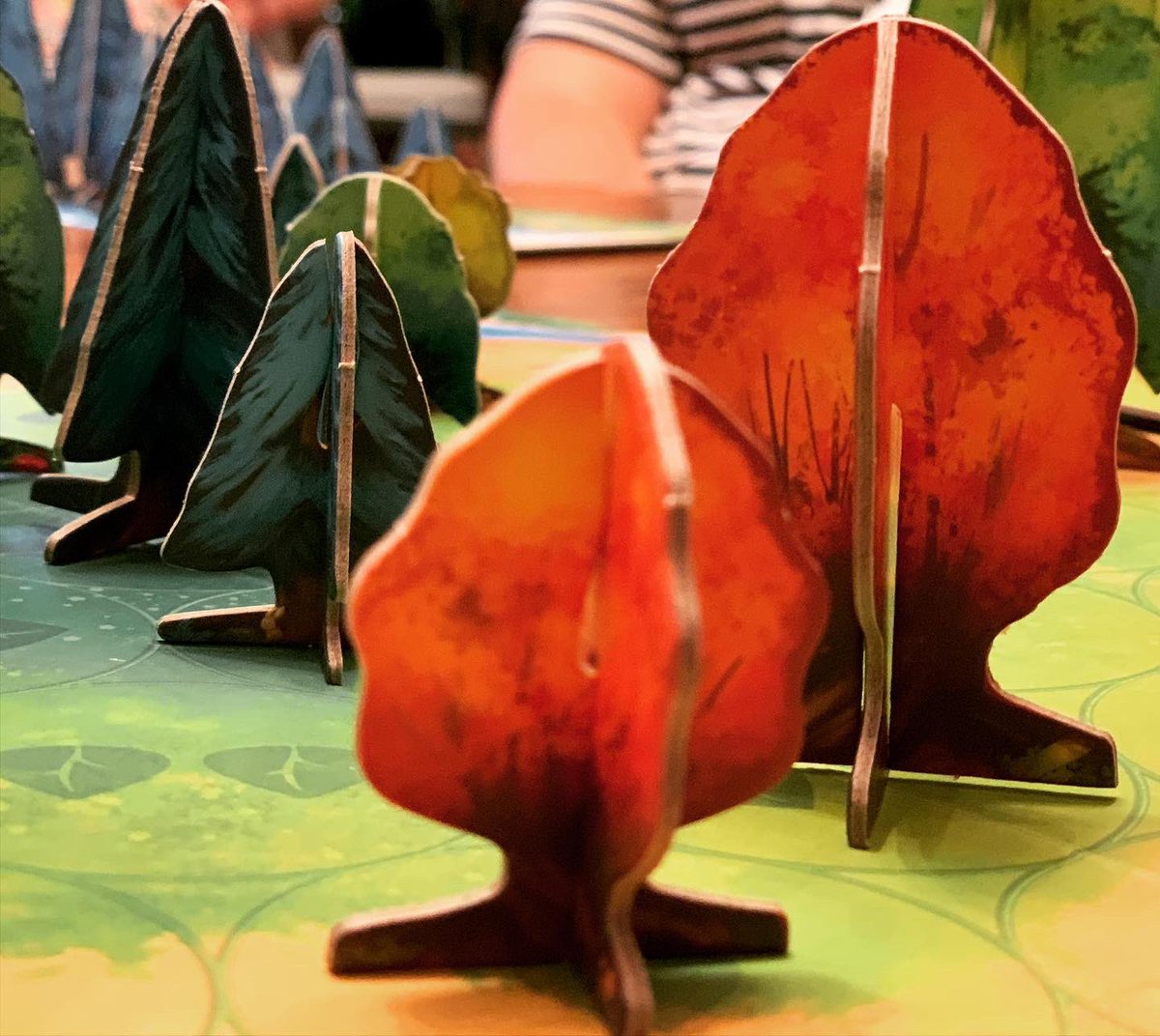 LostGravityGms's tweet photo. Getting lost in the forest of Photosynthesis on this lazy Sunday
#lostgravitygames #boardgames #games #tabletopgames #gameday #gamenight #familygames #gaming #playmoregames #gameshelf #boardgameday #bgg #boardgamegeek #photosynthesis #blueorangegames #forest #lazysunday https://t.co/pll4GYagFO