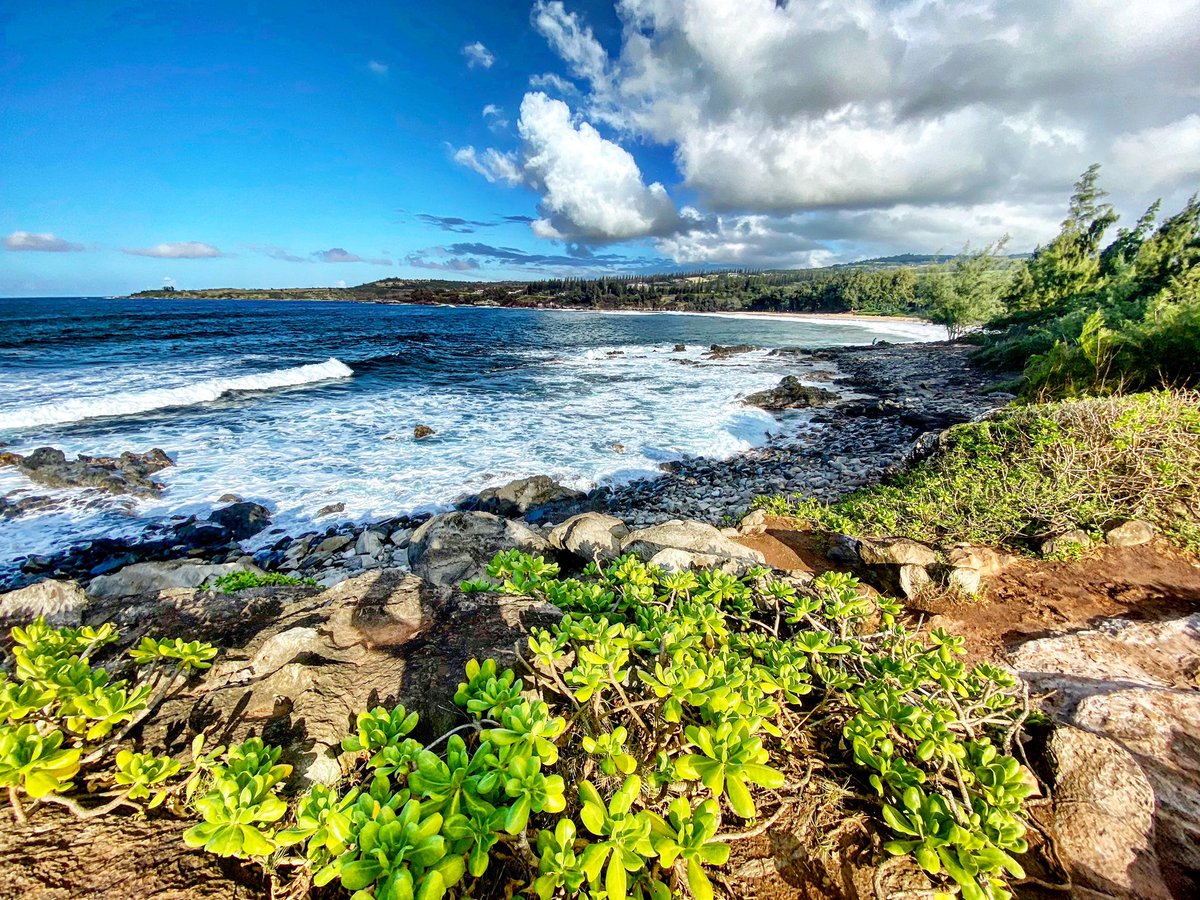 drjessica17's tweet photo. Vision is the art of seeing what is invisible to others. 💙Jonathon Swift 📷 by me 🌊 

#vision #perception #creativity #nature #naturephotography #hawaii #maui #oceanphotography https://t.co/p83gavBnav