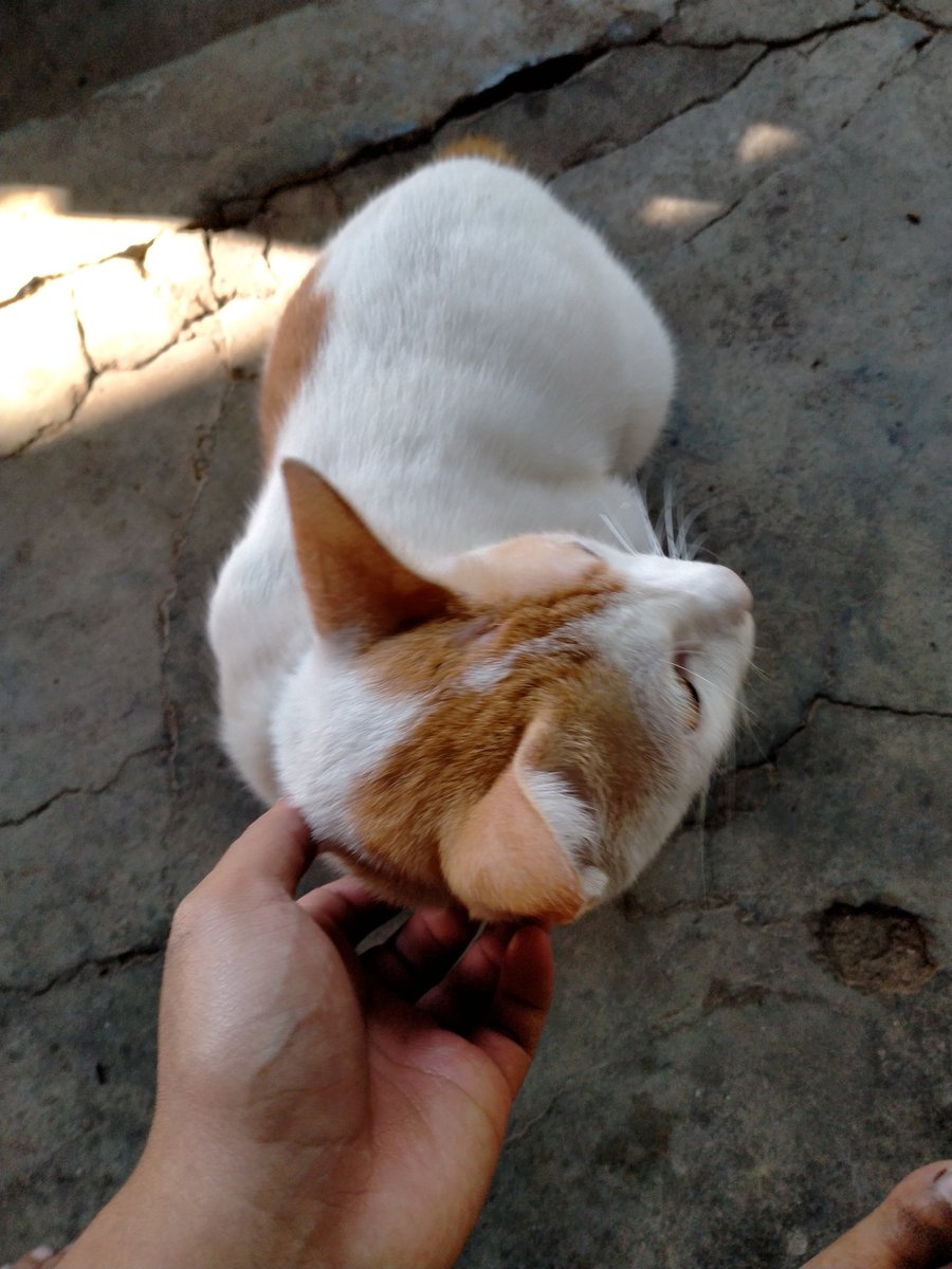 itsrizalfathur's tweet photo. Pergi jam 7 malam pulang jam 8 pagi. Abis dugem kamu?. Gini kalau udah ganti tontonan dari sponsbop ke jendela esempeh. https://t.co/6aaNSe8IoF