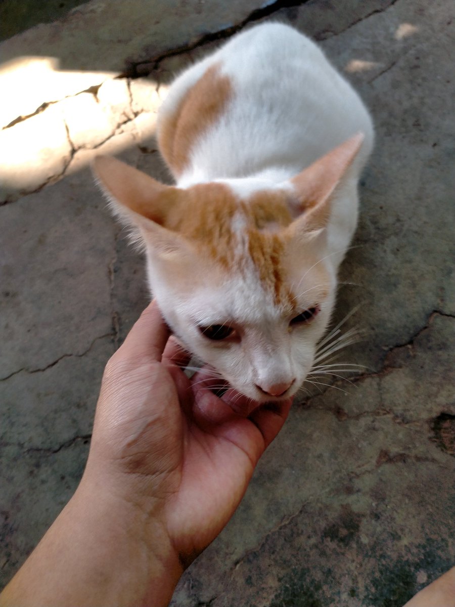 itsrizalfathur's tweet photo. Pergi jam 7 malam pulang jam 8 pagi. Abis dugem kamu?. Gini kalau udah ganti tontonan dari sponsbop ke jendela esempeh. https://t.co/6aaNSe8IoF