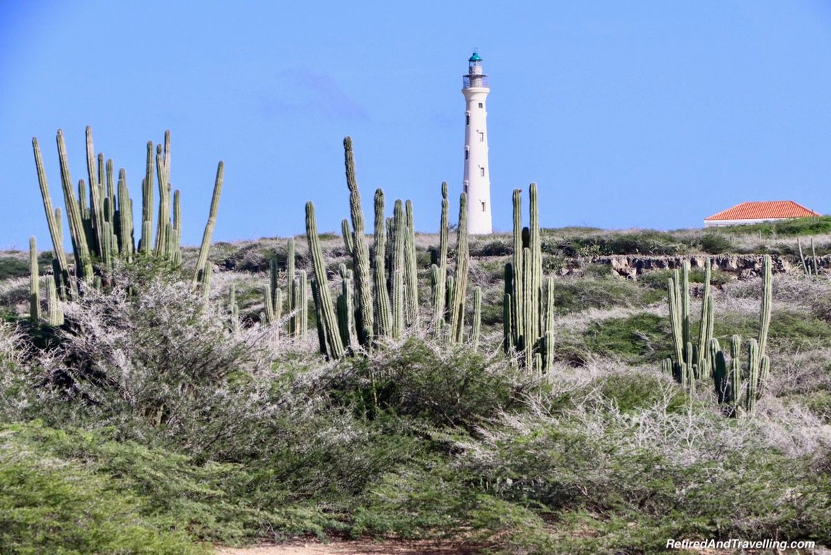 TravelAtWill's tweet photo. Want a Caribbean island to visit?  Aruba is opening up. https://t.co/85WKEWb5ws Check out what it will take to plan a visit @ArubaTravel https://t.co/BBA73j5Zdx