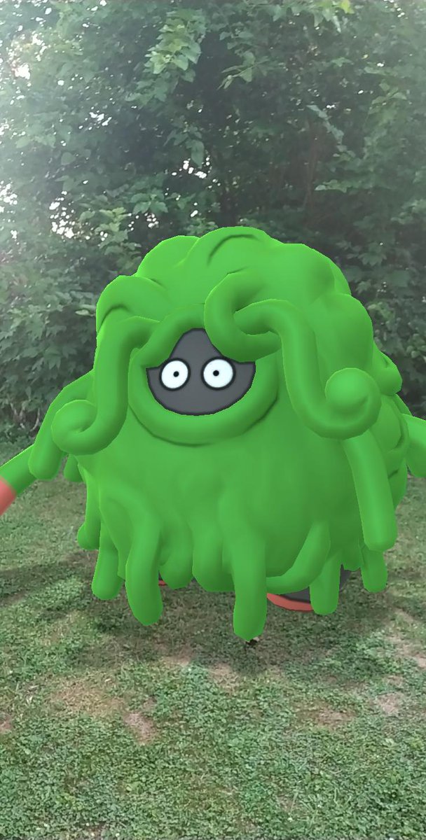 ProfRedwood0802's tweet photo. I'll be putting All of my Go Fest Shiny Captures here, so be prepared https://t.co/sxN1l0n3cj