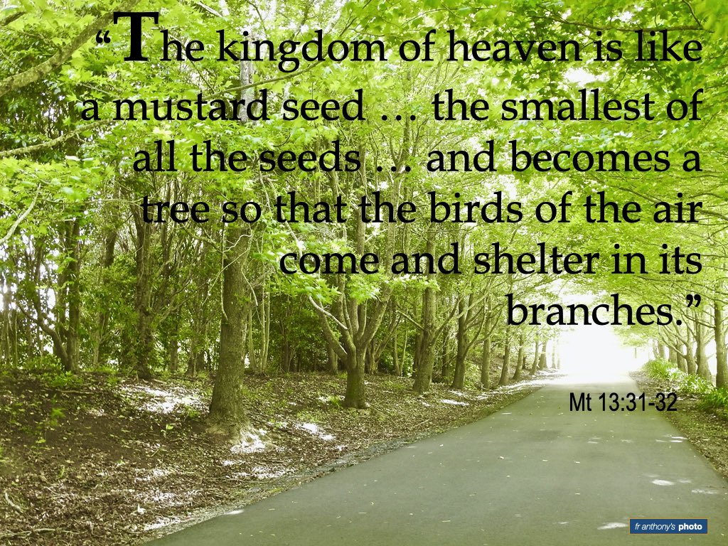 TonColoma's tweet image. #passagefortoday