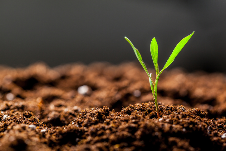 Dr Doris Blaesing from Soil Wealth ICP will share her insights on #soil health, #nutrition &amp; #water use in an <a href="/AgricenCo/">Agricen</a> webinar on building the best foundation for #horticultural crops, Tues 28 July at 9:30am AEST. Register: register.gotowebinar.com/register/25312… <a href="/doris_dorisb/">Doris Blaesing</a>