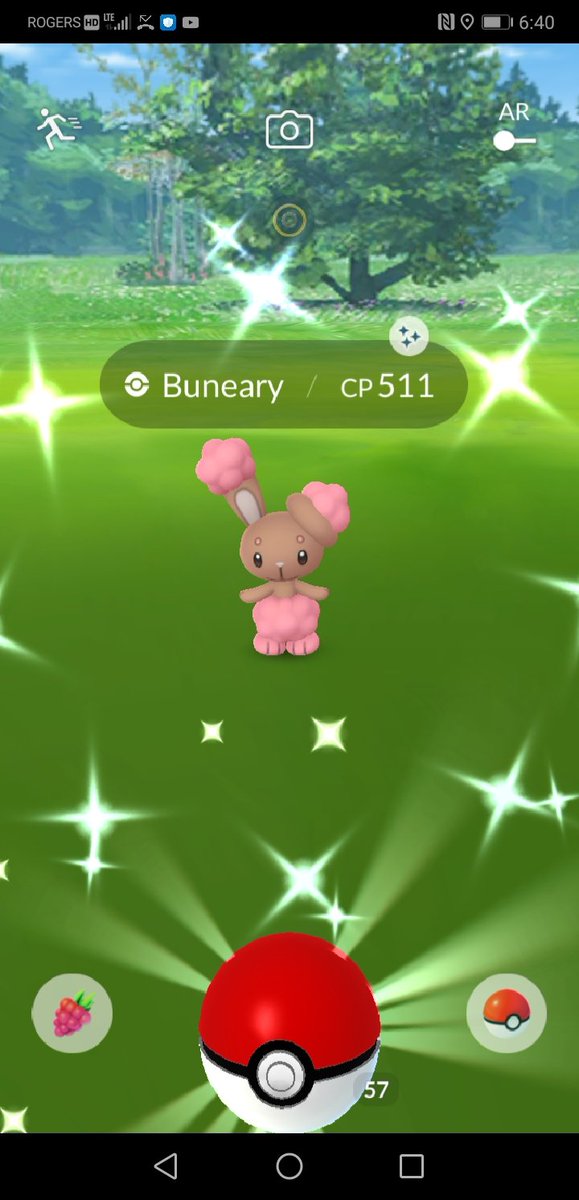 ShinyPsyCat's tweet photo. After over a year, I finally caught a Shiny bun bun! 👀💦

Was not expecting this during today's #PokemonGOFest2020 but you can bet I was happy! https://t.co/2KWrzGiv9v