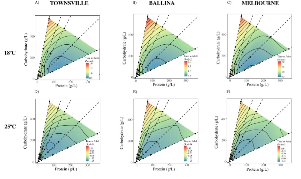 MonashBiol's tweet image. What role will plasticity play in the way animals respond to climate change? @AvishiktaC Carla Sgro, @ChristenMirth found it will be key at least in short to mid term in #drosophila study onlinelibrary.wiley.com/doi/abs/10.111…  #MonashEvolution