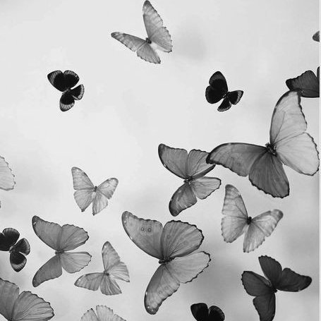 Sidharth Malhotra as a butterfly a thread: