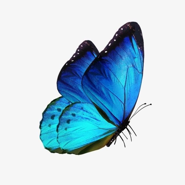 Sidharth Malhotra as a butterfly a thread: