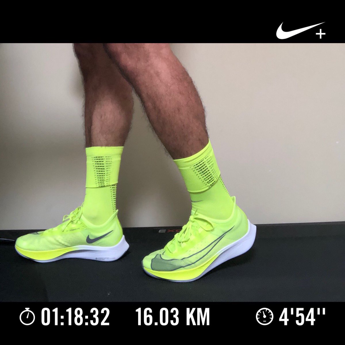 TortoiseRP's tweet photo. Regresando a los entrenamientos
#ZoomFly3 #easypace en Domingo!
#running https://t.co/NbQp2wjGif