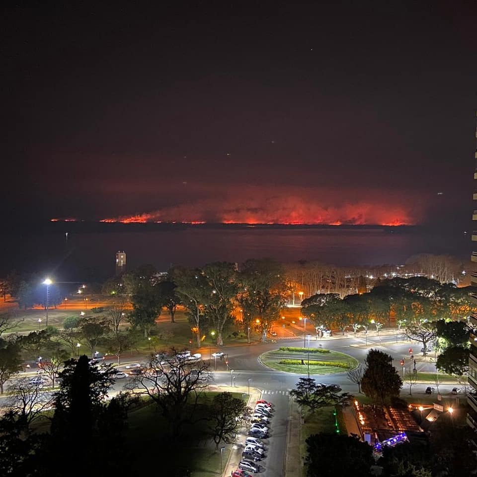 tanea_coronato's tweet photo. ¡Así arde el humedal del Paraná AHORA! Estamos en plena pandemia producto de arruinar el ecosistema, se está cortando el puente Rosario-Victoria y esto sigue pasando. Ni el Amazonas ni Australia. ¡El delta del Paraná! https://t.co/b1RaHaByN4