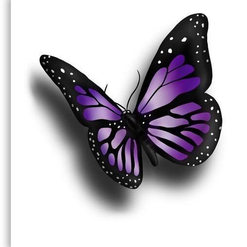 Sidharth Malhotra as a butterfly a thread: