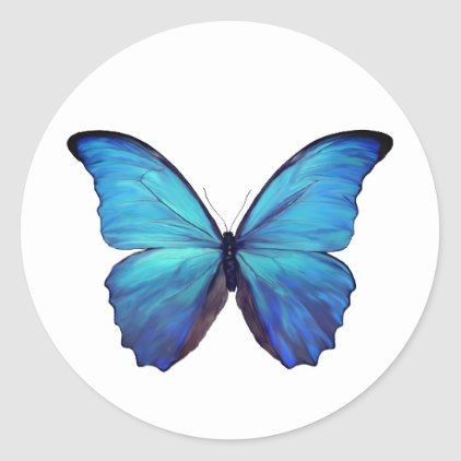 Sidharth Malhotra as a butterfly a thread: