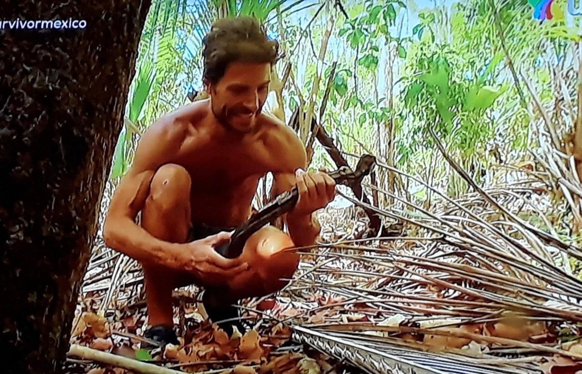 Carloosn's tweet photo. Todo Mexico está esperando el momento en que Alex Sirvent saque su fierrote en el juicio y grite “SOY INMUNE”

#ConcejoEnSurvivor https://t.co/h0VbJ3F7f2