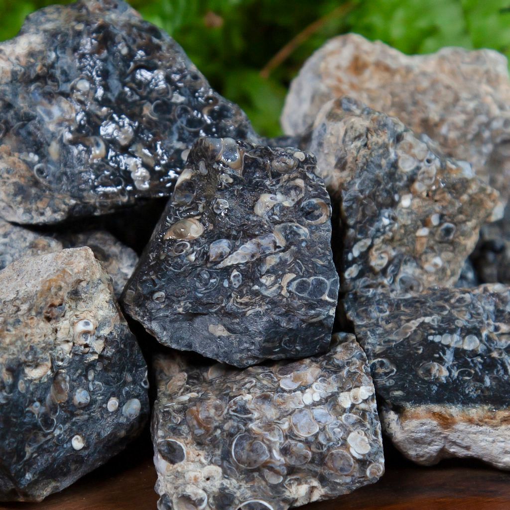TheSageGoddess's tweet photo. This Natural #Turritella #Agate will help you tap into ancient wisdom 🦉 It’s the perfect stone for connecting with your ancestors and the lessons of past lives. Allow its sacred magic to guide you toward your highest self. Save 19% with code CELEBRATE19. https://t.co/TqwEczkVzi https://t.co/tPJpoARNRb