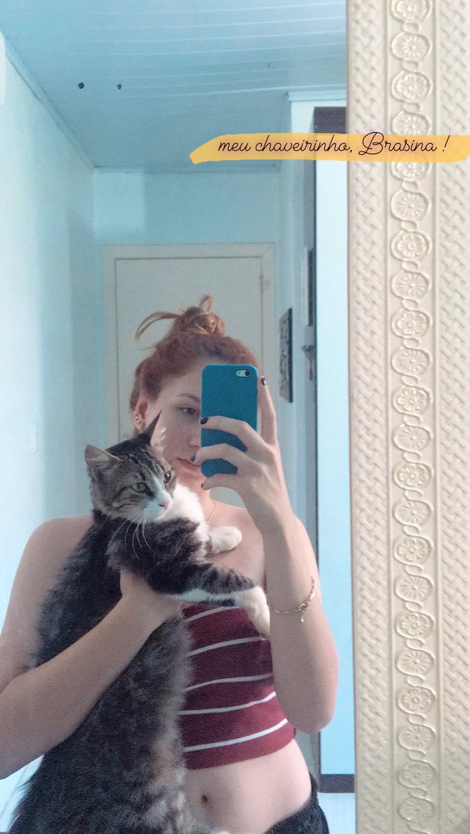iszadf's tweet photo. se tu tem algum pingo de consideração no teu coração da um rt aqui pq eu to DESESPERADA, minha gata sumiu, não acho em lugar algum, é castrada, tem 2 anos, dócil, se chama Brasina e é minha vidinha, é tratada como gente e amo demais ela, me dá uma ajuda plssa https://t.co/RvQB2ocdPT