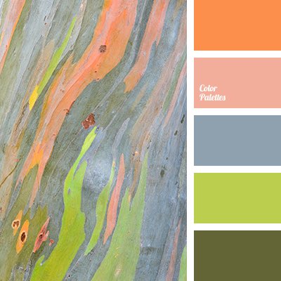 FaithFyffe's tweet photo. @nukichka I like a lot of colors in my decor! https://t.co/nPGhi4b7RQ