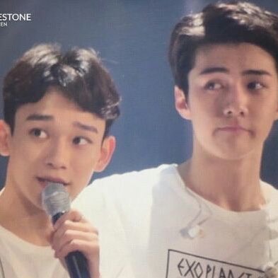 i added the first one bc they look so cute 