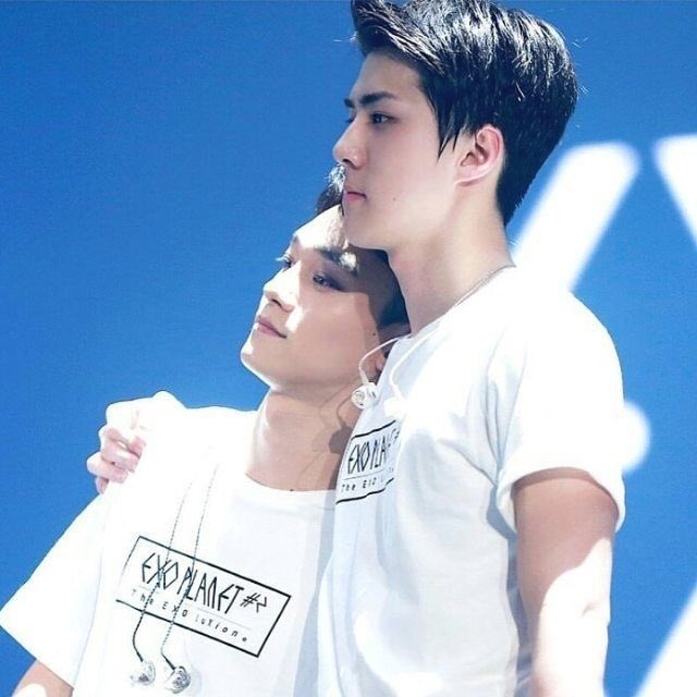 i added the first one bc they look so cute 