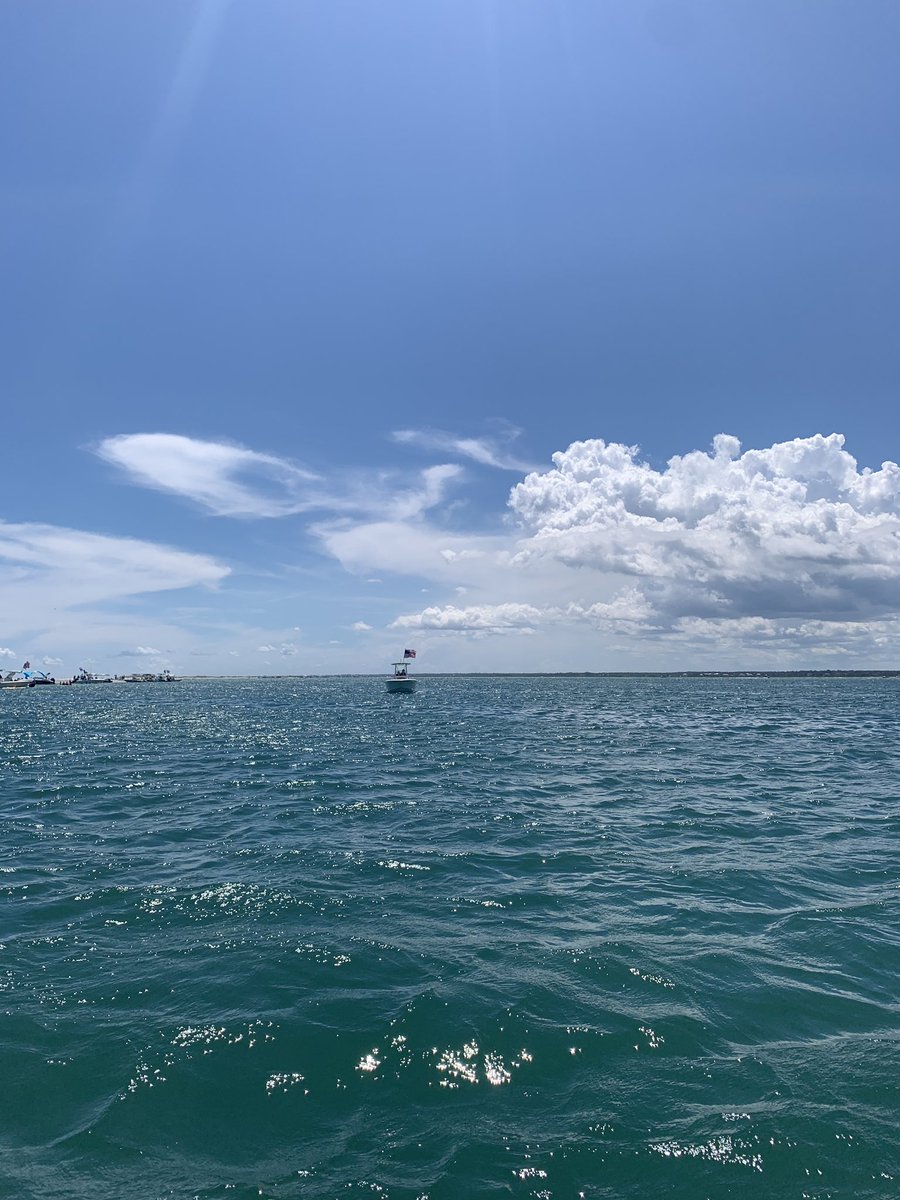 Sea turtles, Dolphins and the most beautiful water we could ask for!