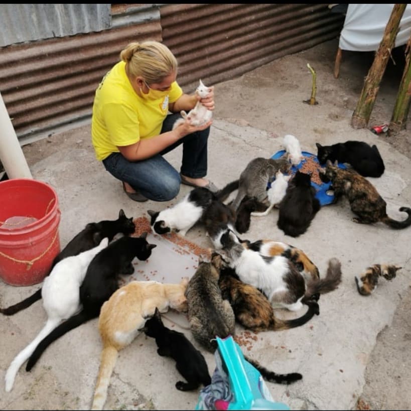 RotaractdeTegus's tweet photo. ¡Gracias a todas las personas que nos apoyaron en nuestra recaudación de fondos! Por la ayuda de cada uno de ustedes, se pudo realizar la increíble donación a LACADEN de:

259 libras de comida para gato
291 libras de comida para cachorro
6 galones de cloro
7.89 libras de bananos https://t.co/l1l3emrrPl