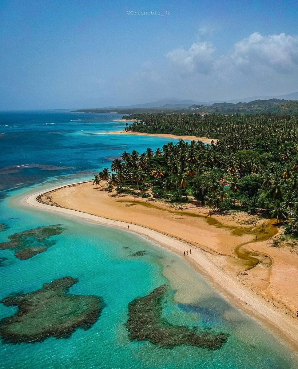 JeanSuriel's tweet photo. Galería de imágenes de Samaná, República Dominicana. Un destino extraordinario por conocer.

📷 @crisnoble_02 https://t.co/TZODbSJlaz