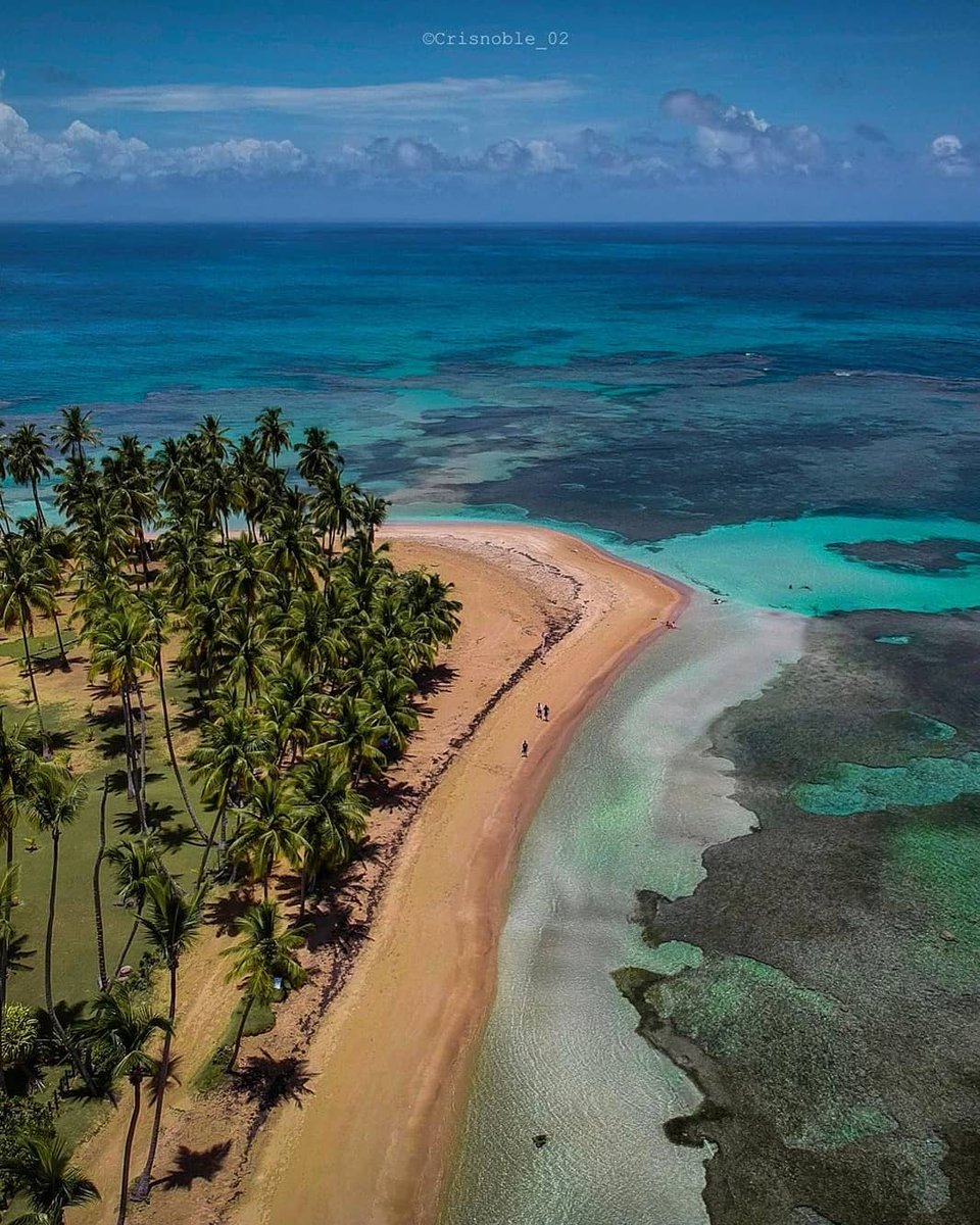 JeanSuriel's tweet photo. Galería de imágenes de Samaná, República Dominicana. Un destino extraordinario por conocer.

📷 @crisnoble_02 https://t.co/TZODbSJlaz