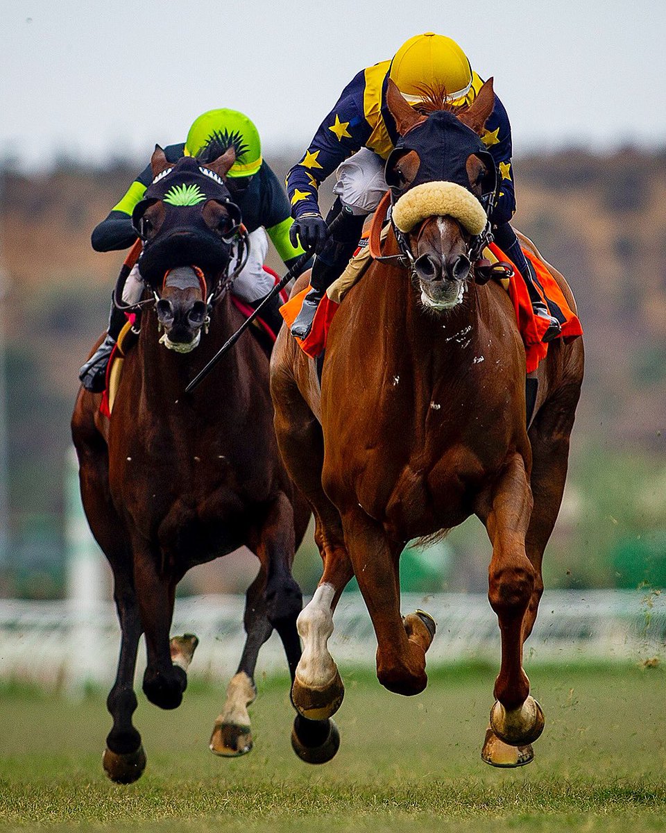 United all class in the Eddie Read Stakes <a href="/DelMarRacing/">Del Mar Racetrack</a>