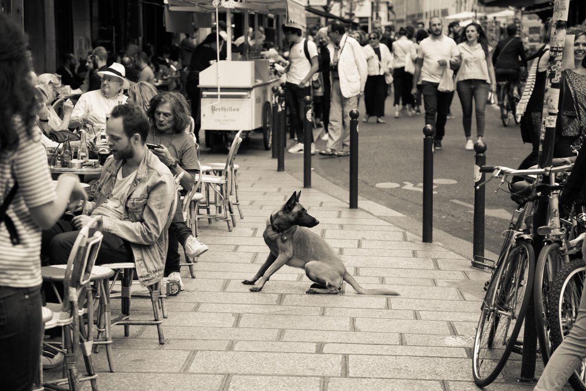 #photographylovers #picoftheday #bnw #canon5D #streetphotography #France #worldtraveler