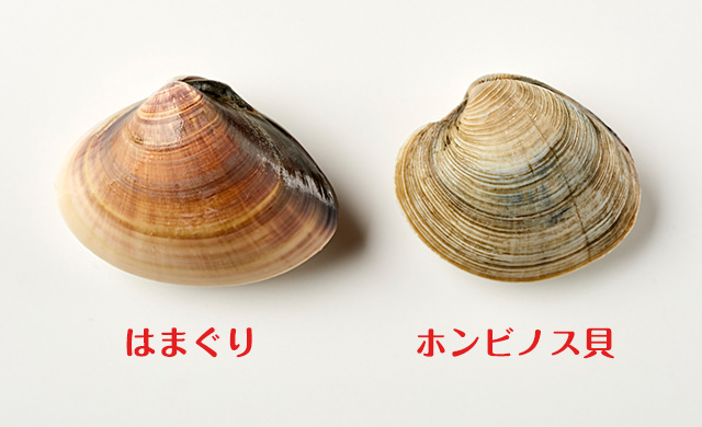 ホンビノス貝 Twitter Search Twitter ホンビノス貝 Twitter Search Twitter