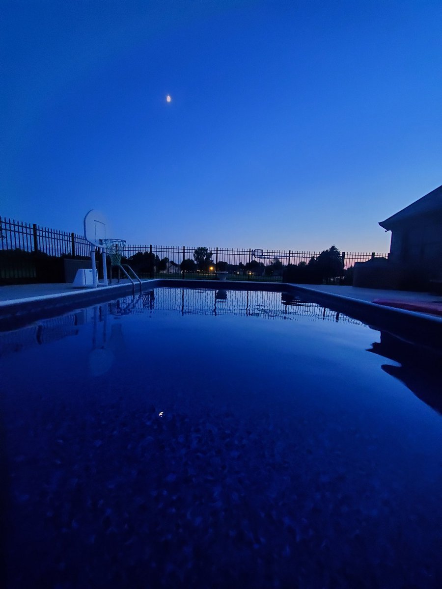 Carrie🐘 tweet media