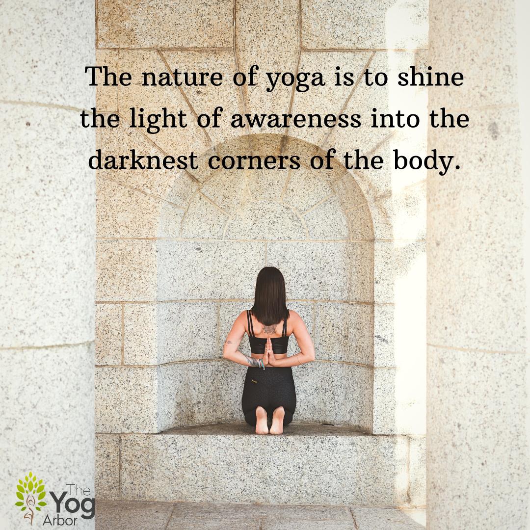 theyogarbor's tweet photo. Most of us go through various experiences in life which results in the person which we are today.
Yoga help us in figuring out the clutter we have in our mind. It improves our acceptance towards things and helps us move forward towards a better future.
#theyogarbor #yogalearning https://t.co/sZHnMLy95h