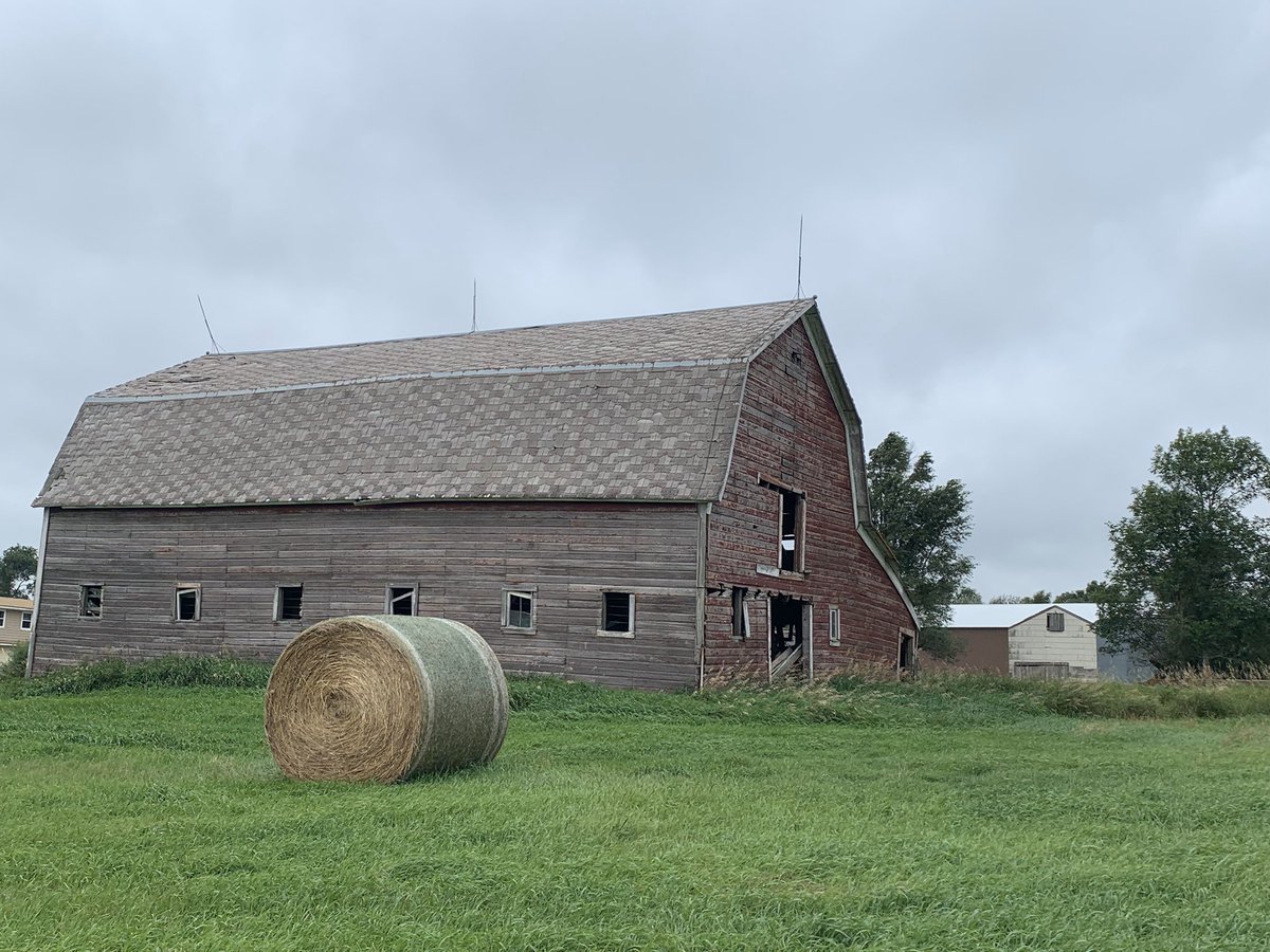 PeggyKapusta's tweet photo. #WTFcouldAlsoStandFor

Wandering 
The
Farm https://t.co/jmhNqwxuTg