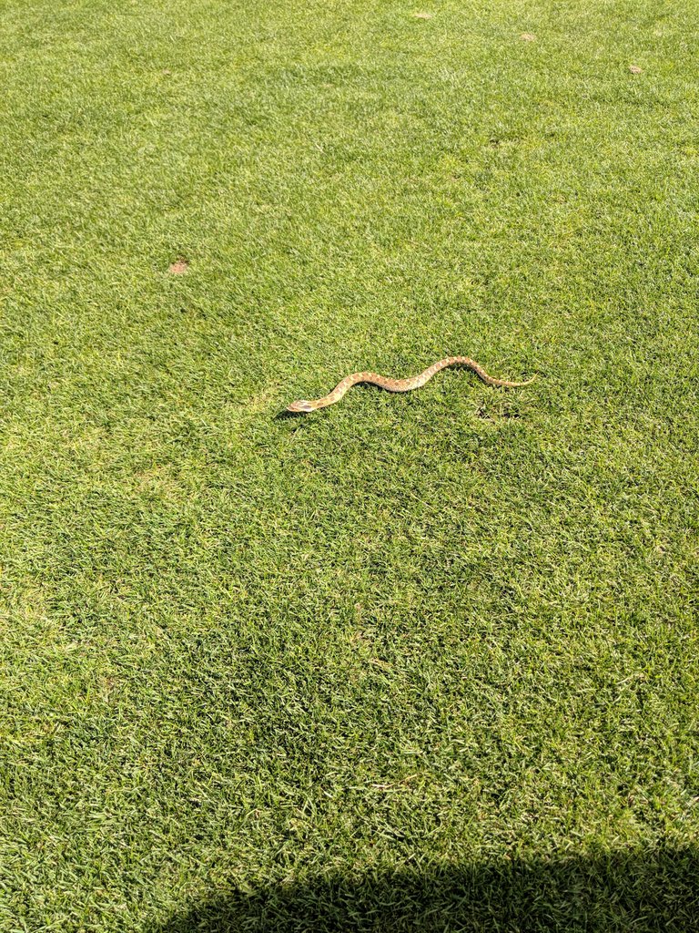 Valentine, Nebraska... Great day golfing! #enjoyingnature