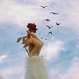 #اشتقت_للمطار

. أبتدا يومً من العمر محسوب
هكذا الايــام تطوينـا طـوي

يالله الغفران من كل الذنوب 
ويالله بعزمً على الطاعة قوي

#صباح_الخير...🌹🕊