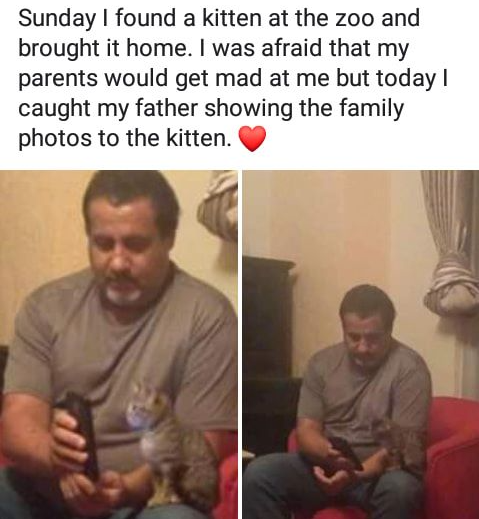 WholesomeMemes (@wholesomememe) on Twitter photo 