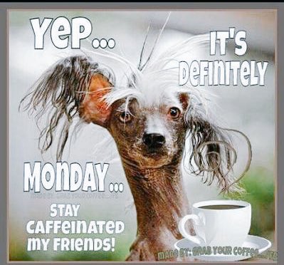 Good morning Monday 🙋🏻‍♀️☕️💙.... who is ready for a brand new week? Stay caffeinated my friends we’ve got this 💪💪💪... wishing everyone a a magical Monday .. week 2 HON..positive pants on .. let’s do this 💪💛 #staysafe #bekind #choosewell 🚨🚑🏩