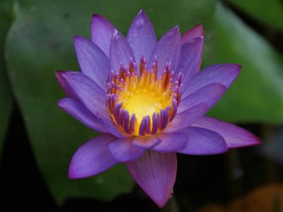 Quantum healing. A physicist bridges the gap between spirituality and science healingcfsme.com/quantum-healin…