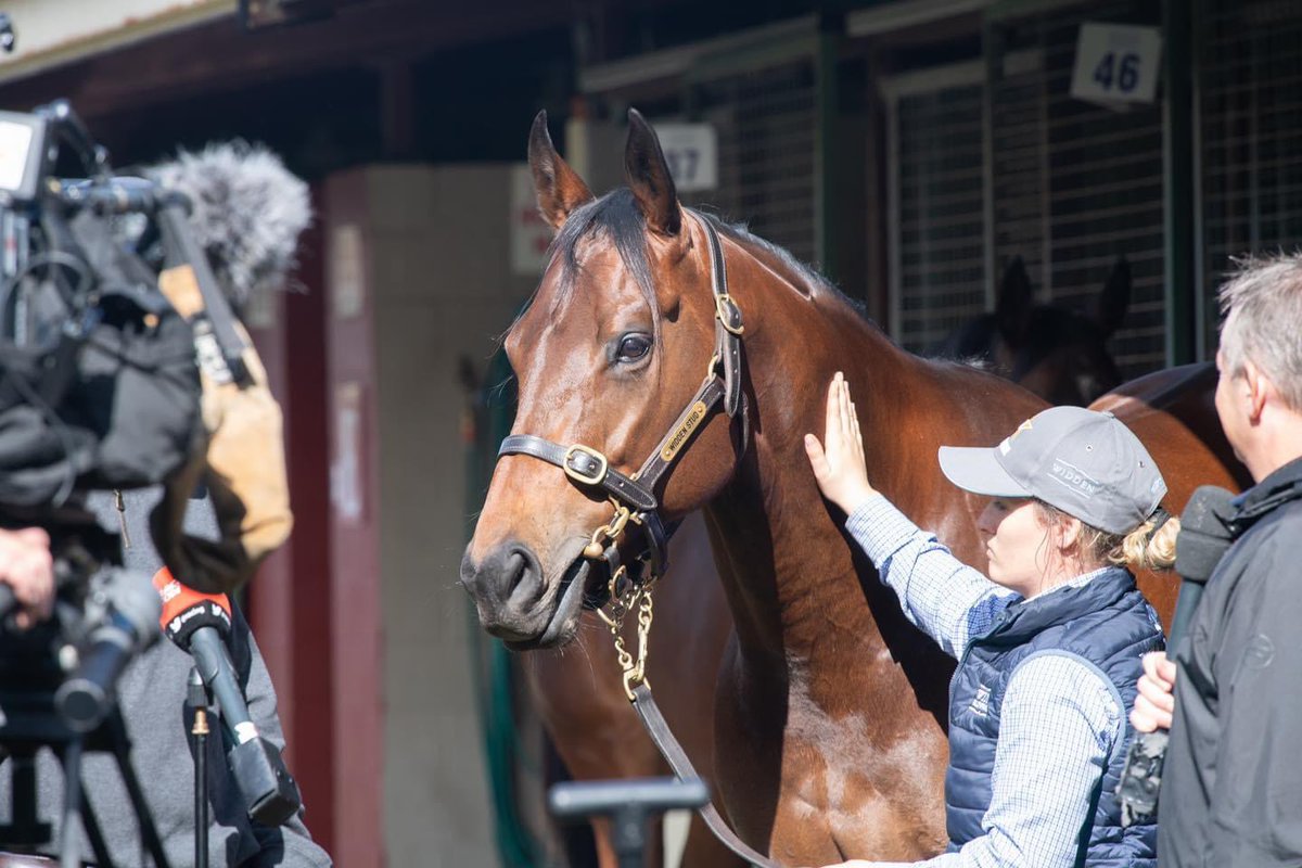 mcevoyracing's tweet photo. Sale day has arrived for SUNLIGHT ☀️

The 2020 Magic Millions National Sale begins at 2pm AEST today. 
Sunlight is Lot 80 and expected to sell at approx. 4pm.

Tune in LIVE 👇👁👁👇

https://t.co/pVnxRVnqKC

 #SetToShine #MMNational2020
Photo: Katrina Partridge Photography https://t.co/TSXtTq2Gss