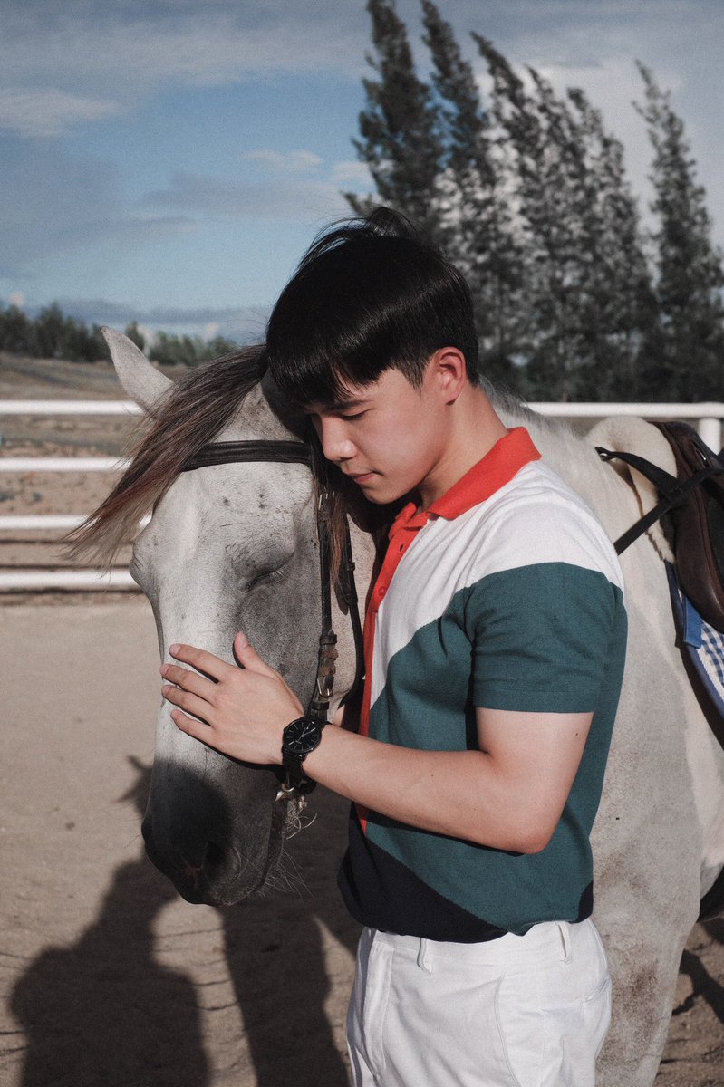 wasusatang's tweet photo. ม้า สามารถรับรู้จิตใจของผู้ขี่ได้
หน้าม้า สามารถปิดเหม่งได้
เรา สามารถกินบุฟเฟต์ได้ https://t.co/uU68z4yEDr