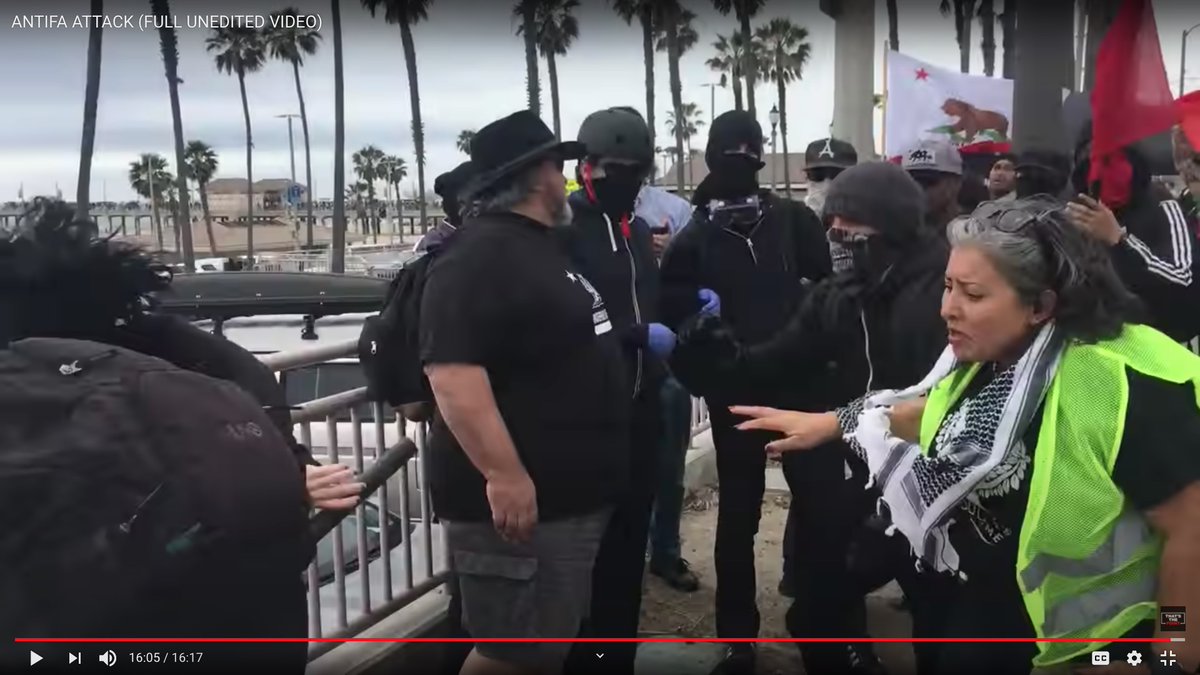 Part Two:WHAMMO!Such a beautiful corona of puffed-out hair.