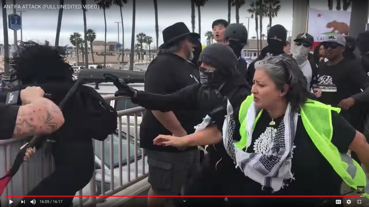 Part Two:WHAMMO!Such a beautiful corona of puffed-out hair.