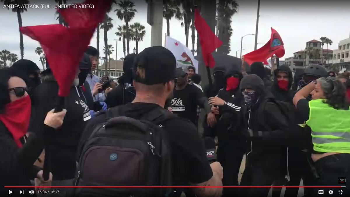 "If you see somebody get snatched, snatch they ass back!"OH PLEASE DO!This is my favorite series of screen grabs.Antifa Girl Hits Muscleman With Wooden Pole.Part one: