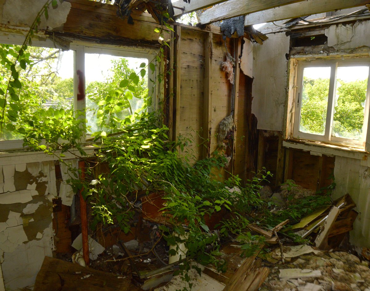 EldrToadExplore's tweet photo. Rotting Rooftop
#urbex #decay #abandoned #bando https://t.co/y7hXEME91E