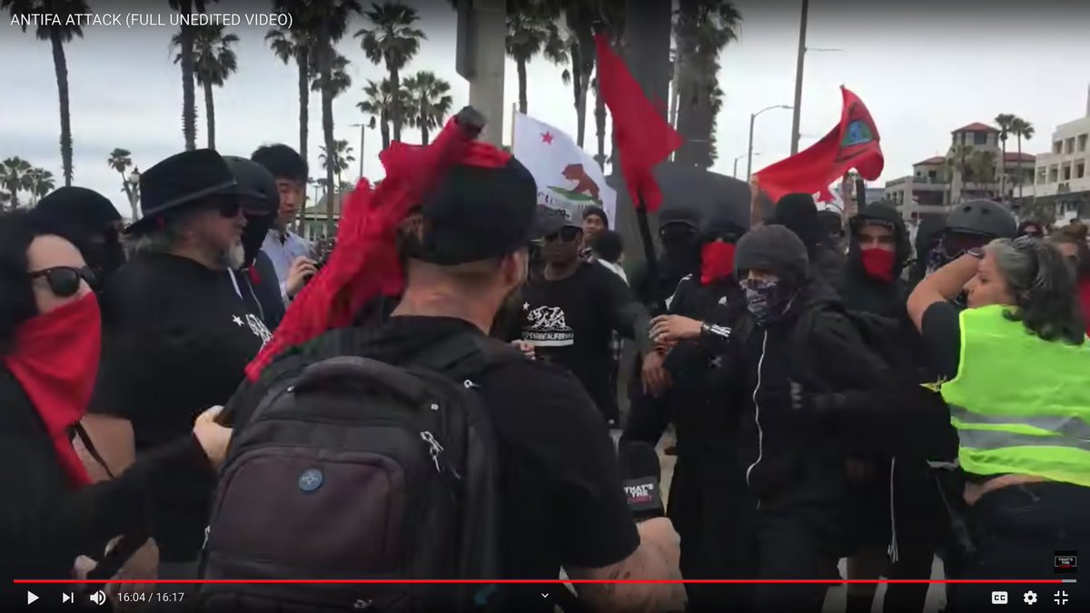 "If you see somebody get snatched, snatch they ass back!"OH PLEASE DO!This is my favorite series of screen grabs.Antifa Girl Hits Muscleman With Wooden Pole.Part one:
