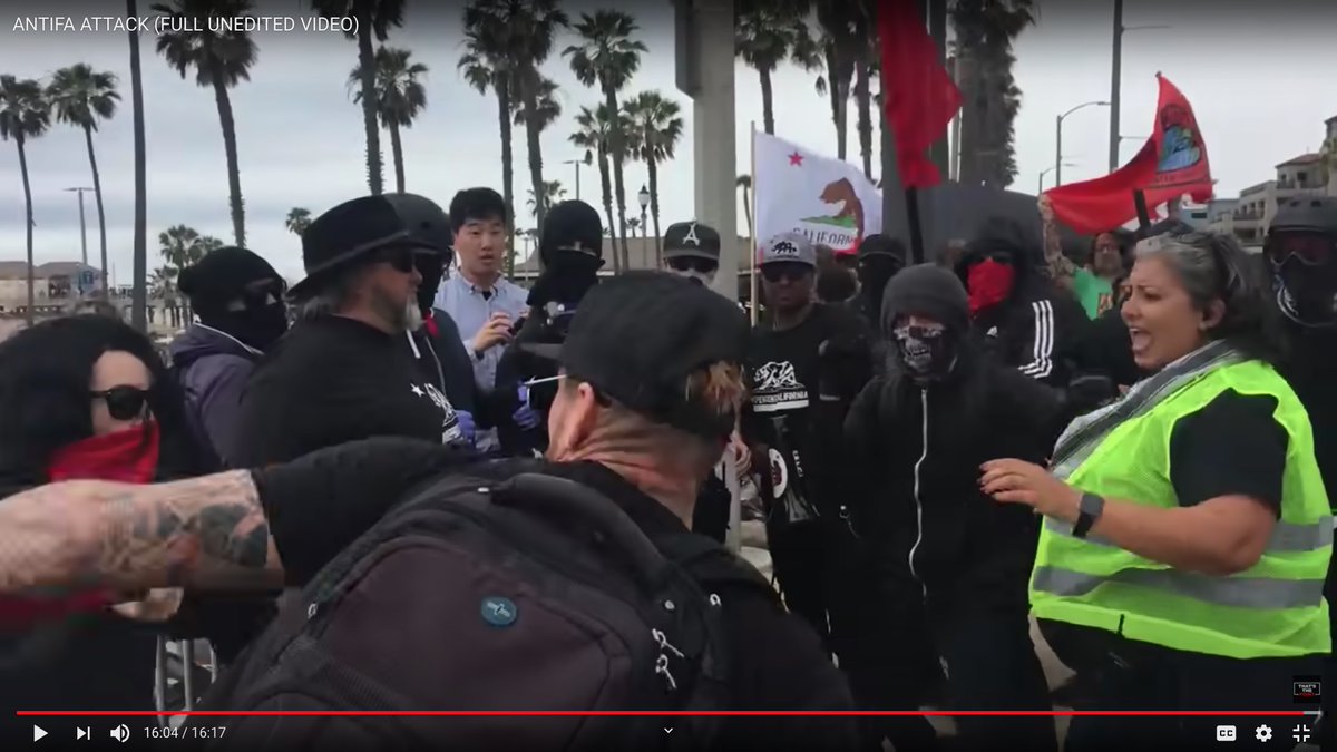 "If you see somebody get snatched, snatch they ass back!"OH PLEASE DO!This is my favorite series of screen grabs.Antifa Girl Hits Muscleman With Wooden Pole.Part one:
