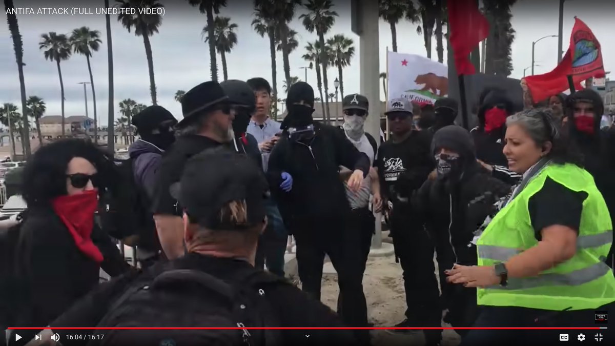 "If you see somebody get snatched, snatch they ass back!"OH PLEASE DO!This is my favorite series of screen grabs.Antifa Girl Hits Muscleman With Wooden Pole.Part one: