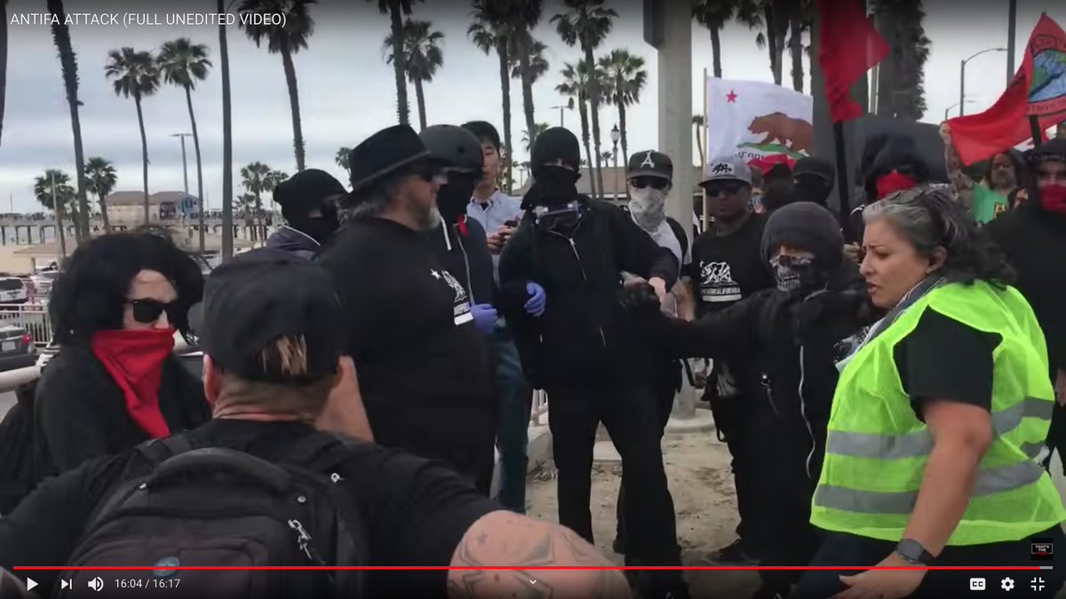 Part Two:WHAMMO!Such a beautiful corona of puffed-out hair.